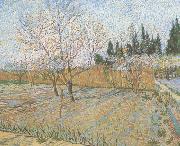 Vincent Van Gogh Orchard with Peach Trees in Blossom (nn04) china oil painting artist